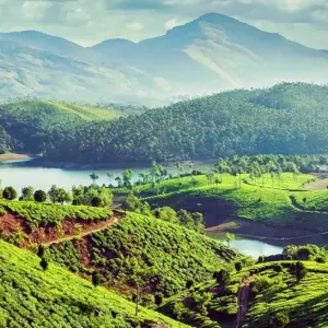 Explore Kerala Tour - 8 Days for 8 days with Golden Triangle India Tours and discover unforgettable experiences - Photo 3