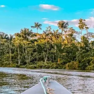 Explore Wild Amazonas Adventure 4-Day Tour for 4 days with Gran Colombia Tours and discover unforgettable experiences - Photo 6