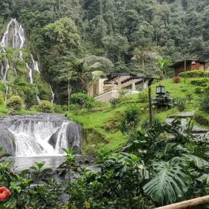 Explore Colombia’s 3 Axis of Diversity: Bogota, Coffee Region and Cartagena Tour for 8 days with Gran Colombia Tours and discover unforgettable experiences - Photo 5