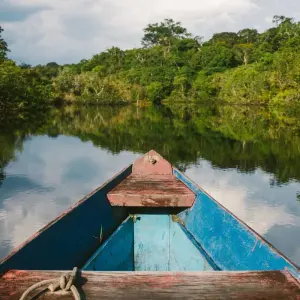 Explore Escape to the Amazon 3-Day Tour for 3 days with Gran Colombia Tours and discover unforgettable experiences - Photo 7