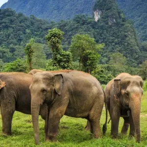 Explore Kerala Tour - 8 Days for 8 days with Golden Triangle India Tours and discover unforgettable experiences - Photo 5