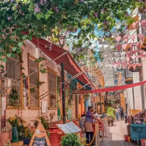 Explore Colombian Cultural and Natural Immersion Tour for 13 days with Gran Colombia Tours and discover unforgettable experiences - Photo 9