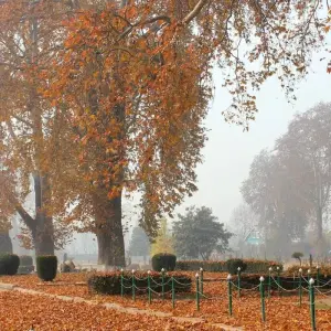 Explore Kashmir Tour with Srinagar for 6 days with Golden Triangle India Tours and discover unforgettable experiences - Photo 2