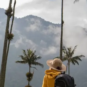 Explore Colombia’s 3 Axis of Diversity: Bogota, Coffee Region and Cartagena Tour for 8 days with Gran Colombia Tours and discover unforgettable experiences - Photo 9