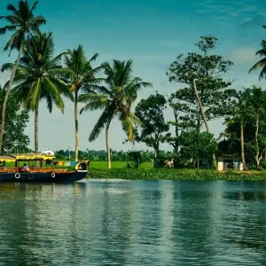 Explore Kerala Tour - 8 Days for 8 days with Golden Triangle India Tours and discover unforgettable experiences - Photo 8