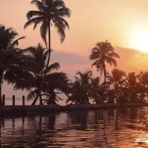 Explore Kerala Tour - 8 Days for 8 days with Golden Triangle India Tours and discover unforgettable experiences - Photo 9