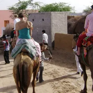 Explore Rajasthan Tour with Taj Mahal for 15 days with Golden Triangle India Tours and discover unforgettable experiences - Photo 5