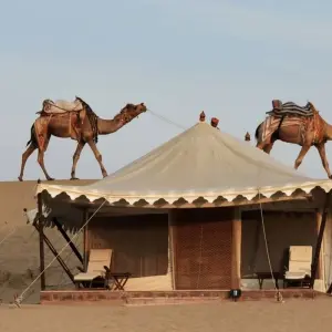 Explore Rajasthan Sightseeing with Taj Mahal Tour for 14 days with Golden Triangle India Tours and discover unforgettable experiences - Photo 2