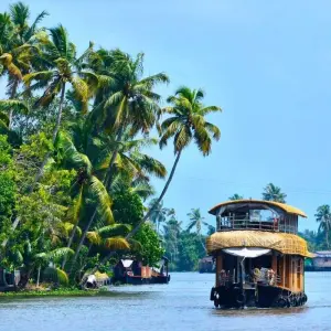 Explore Kerala Highlights Tour for 9 days with Golden Triangle India Tours and discover unforgettable experiences - Photo 4