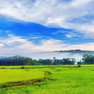 Explore Kerala Highlights Tour for 9 days with Golden Triangle India Tours and discover unforgettable experiences - Photo 5