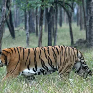 Explore South and North India Tour for 30 days with Golden Triangle India Tours and discover unforgettable experiences - Photo 3