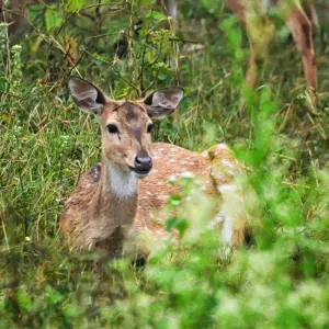 Explore South and North India Tour for 30 days with Golden Triangle India Tours and discover unforgettable experiences - Photo 4