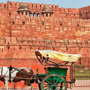 Explore Tiger Tour with Taj Mahal for 9 days with Golden Triangle India Tours and discover unforgettable experiences - Photo 7