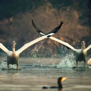 Explore Rajasthan Sightseeing with Taj Mahal Tour for 14 days with Golden Triangle India Tours and discover unforgettable experiences - Photo 6