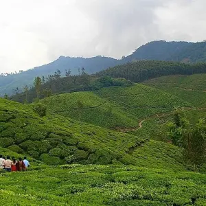 Explore Golden Triangle Tour with Kerala for 13 days with Golden Triangle India Tours and discover unforgettable experiences - Photo 5