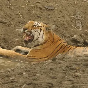 Explore North India Highlights Tour for 24 days with Golden Triangle India Tours and discover unforgettable experiences - Photo 6