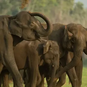 Explore South and North India Tour for 30 days with Golden Triangle India Tours and discover unforgettable experiences - Photo 11