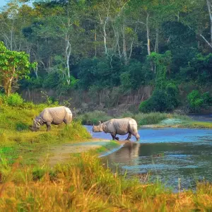 Explore India, Nepal and Bhutan Tour for 22 days with Golden Triangle India Tours and discover unforgettable experiences - Photo 6