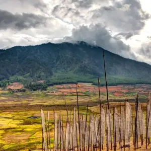 Explore India, Nepal and Bhutan Tour for 22 days with Golden Triangle India Tours and discover unforgettable experiences - Photo 10