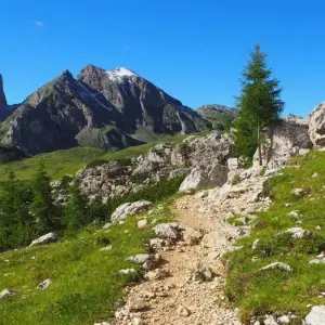 Explore Dolomites of Cortina Explorer - Self-Guided Hike for 7 days with Grand Angle  and discover unforgettable experiences - Photo 4