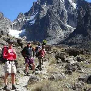 Explore Mount Kenya National Park Full-Day Hike for 1 days with Gracepatt Ecotours Kenya and discover unforgettable experiences - Photo 2