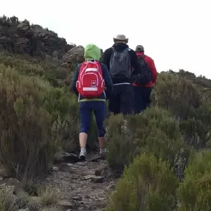 Explore Mount Kenya National Park Full-Day Hike for 1 days with Gracepatt Ecotours Kenya and discover unforgettable experiences - Photo 3
