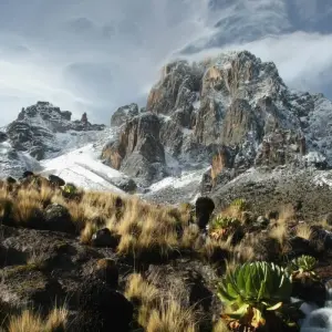 Explore Mount Kenya National Park Full-Day Hike for 1 days with Gracepatt Ecotours Kenya and discover unforgettable experiences - Photo 4