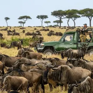 Explore 7days Off The Beaten Path – Mid-Range on 4x4 Land Cruiser Jeep for 7 days with Gracepatt Ecotours Kenya and discover unforgettable experiences - Photo 4