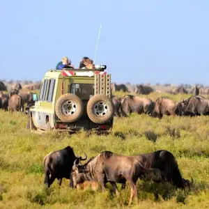 Explore 6 Days Tanzania Package (Tarangire, L. Manyara, Serengeti, Ngorongoro &Arusha) for 6 days with Gracepatt Ecotours Kenya and discover unforgettable experiences - Photo 7