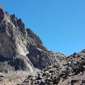 Explore Mount Kenya National Park Full-Day Hike for 1 days with Gracepatt Ecotours Kenya and discover unforgettable experiences - Photo 8