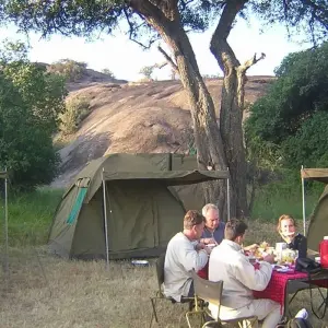 Explore 1 Day Tarangire National Park for 1 days with Gracepatt Ecotours Kenya and discover unforgettable experiences - Photo 7