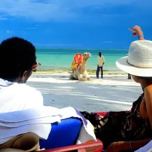 Explore 10 Days Bush & Beach (Amboseli+Tsavo West & East+Diani) for 10 days with Gracepatt Ecotours Kenya and discover unforgettable experiences - Photo 11