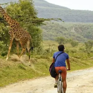 Explore 5-Day Highlight of Kenya's Wildlife, Sceneries & Culture(Maasai Mara, L.Naivasha,Solio) for 5 days with Gracepatt Ecotours Kenya and discover unforgettable experiences - Photo 10