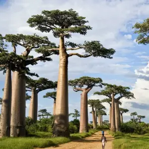 Explore 1 Day Tarangire National Park for 1 days with Gracepatt Ecotours Kenya and discover unforgettable experiences - Photo 11