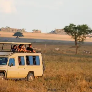 Explore 2 Days Tarangire & Ngorongoro Safari for 2 days with Gracepatt Ecotours Kenya and discover unforgettable experiences - Photo 11