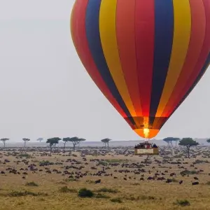 Explore 5 Days Nairobi Day tour &Amboseli National Park Safari for 5 days with Gracepatt Ecotours Kenya and discover unforgettable experiences - Photo 8
