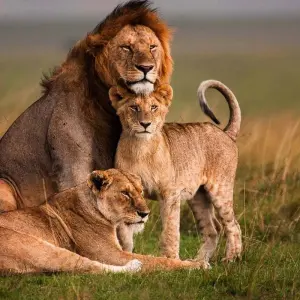 Explore 14 Days Kenya Bush Safari &Beach for 14 days with Gracepatt Ecotours Kenya and discover unforgettable experiences - Photo 9