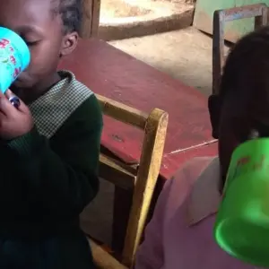 Explore 14Days Volunteer Community Wildlife Sanctuary for 14 days with Gracepatt Ecotours Kenya and discover unforgettable experiences - Photo 4