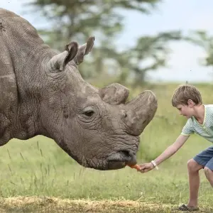 Explore 5Days Aberdares, Solio and Samburu Safari on 4x4 Jeep for 5 days with Gracepatt Ecotours Kenya and discover unforgettable experiences - Photo 11