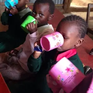 Explore 14Days Volunteer Community Wildlife Sanctuary for 14 days with Gracepatt Ecotours Kenya and discover unforgettable experiences - Photo 5