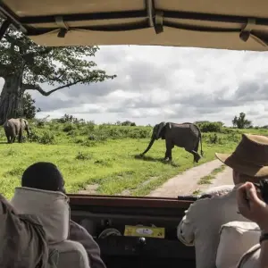 Explore 10 BEST KENYA SAFARI TOURS for 10 days with Gracepatt Ecotours Kenya and discover unforgettable experiences - Photo 6
