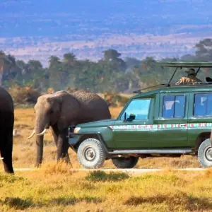 Explore 3 Days  Private Maasai Mara Sarova Luxury Safari With a 4x4 Land Cruiser Jeep for 3 days with Gracepatt Ecotours Kenya and discover unforgettable experiences - Photo 4