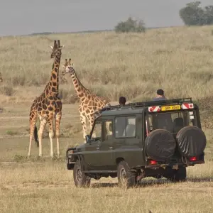 Explore 9 Days Best Of Kenya Wildlife Luxury Safari with Flights for 9 days with Gracepatt Ecotours Kenya and discover unforgettable experiences - Photo 6