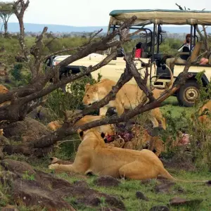 Explore 8 Days Samburu ,Sweetwaters and Maasai Mara Group Tour- Mid - Range for 8 days with Gracepatt Ecotours Kenya and discover unforgettable experiences - Photo 2