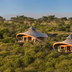 Explore 10 Days Kenya Best  Honeymoon Safari Package with 4x4 Land Cruiser Jeep for 10 days with Gracepatt Ecotours Kenya and discover unforgettable experiences - Photo 7