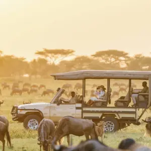 Explore 3 Days  Private Maasai Mara Sarova Luxury Safari With a 4x4 Land Cruiser Jeep for 3 days with Gracepatt Ecotours Kenya and discover unforgettable experiences - Photo 6
