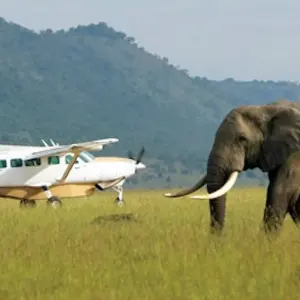 Explore 8Days Luxury Flying Safari :Amboseli, Samburu And Masai Mara on a 4x4 Land Cruiser Jeep for 8 days with Gracepatt Ecotours Kenya and discover unforgettable experiences - Photo 10