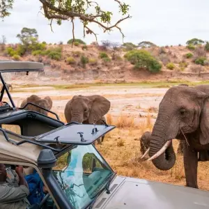 Explore 21days Private safari covering Mt Kenya, Ol Pejeta, Lake Nakuru, Hells gate, Maasai Mara, Amboseli, Tsavo and Diani Beach Holiday for 21 days with Gracepatt Ecotours Kenya and discover unforgettable experiences - Photo 2
