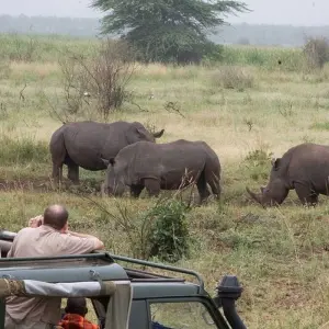 Explore 21days Private safari covering Mt Kenya, Ol Pejeta, Lake Nakuru, Hells gate, Maasai Mara, Amboseli, Tsavo and Diani Beach Holiday for 21 days with Gracepatt Ecotours Kenya and discover unforgettable experiences - Photo 5