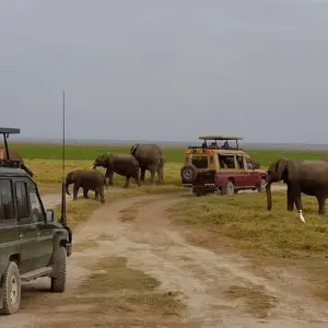 Explore 8 Days Samburu ,Sweetwaters and Maasai Mara Group Tour- Mid - Range for 8 days with Gracepatt Ecotours Kenya and discover unforgettable experiences - Photo 9